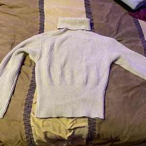 Everlane turtleneck sweater